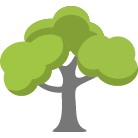 Folsom Tree Removal Service